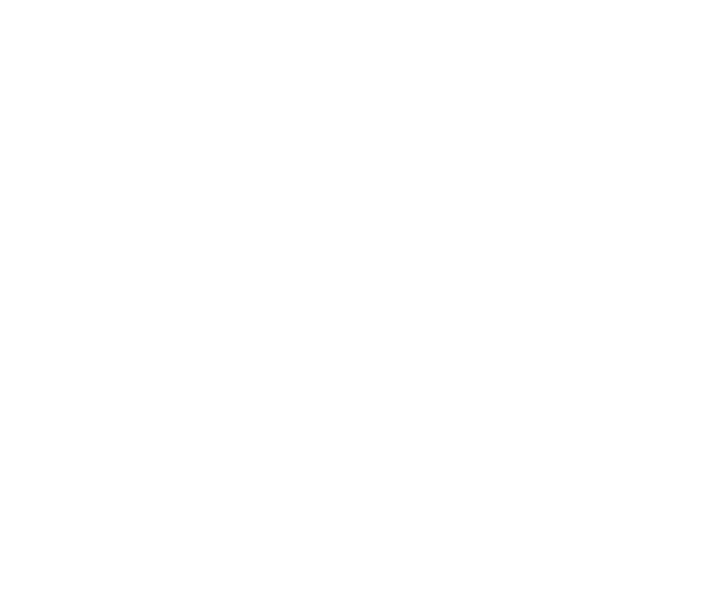 FinurlIT